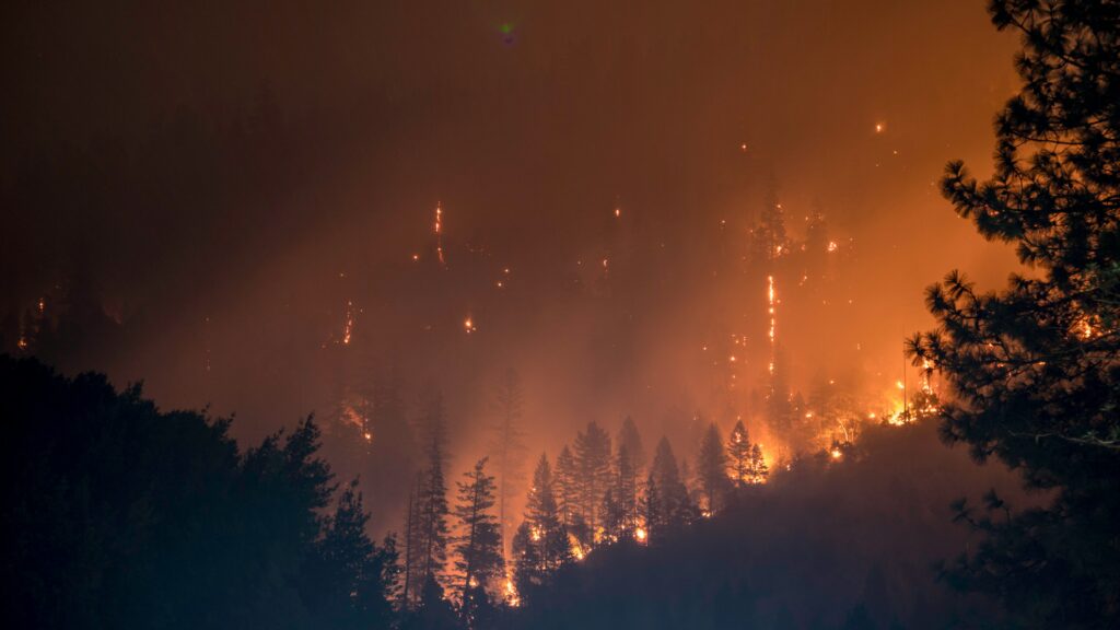 Climate Change Fuels Europe’s Wildfire Crisis