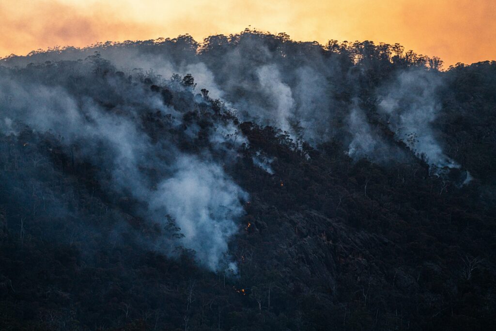 Teen Admits Setting Fires in Portugal