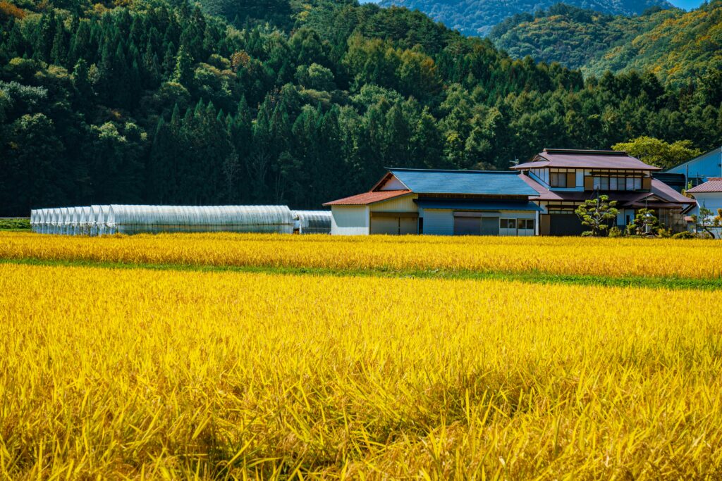Japan Launches Free Domestic Flights for Tourists